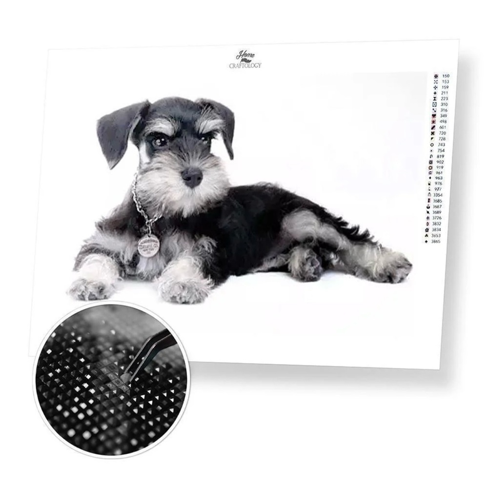 Home Craftology Schnauzer Dog Diamond Art Diamond Painting